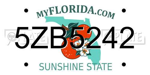 5ZB5242 Florida License Plate