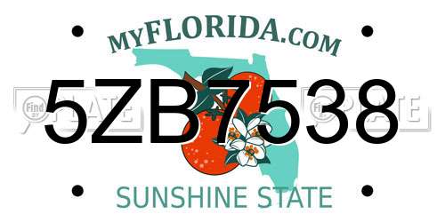 5ZB7538 Florida License Plate