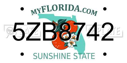 5ZB8742 Florida License Plate