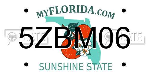 5ZBM06 Florida License Plate