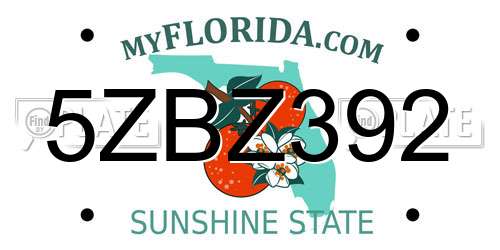 5ZBZ392 Florida License Plate