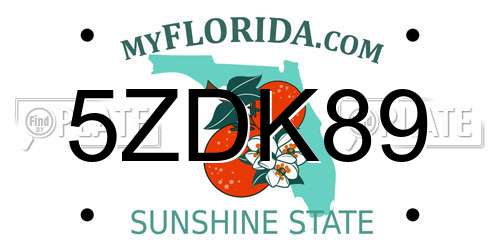 5ZDK89 Florida License Plate