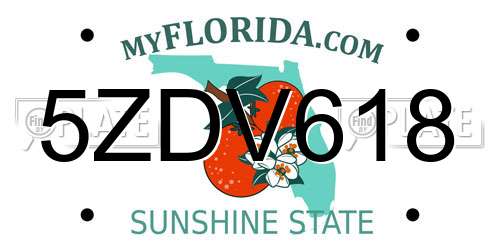 5ZDV618 Florida License Plate