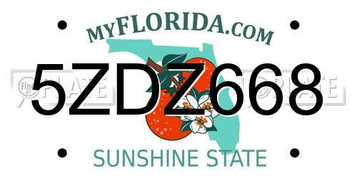 5ZDZ668 Florida License Plate