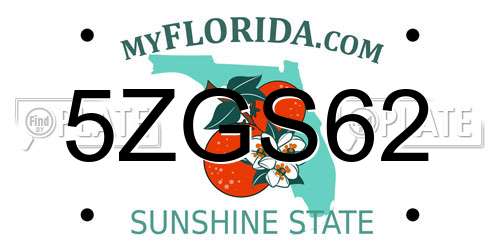 5ZGS62 Florida License Plate