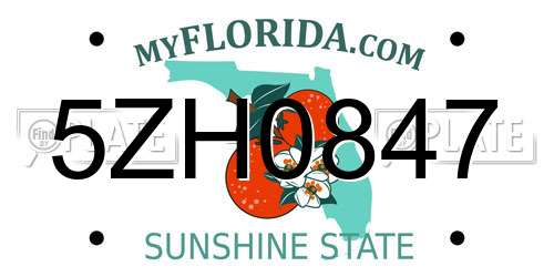 5ZH0847 Florida License Plate