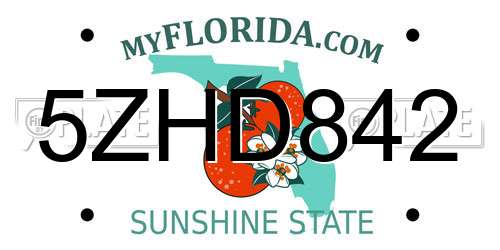 5ZHD842 Florida License Plate