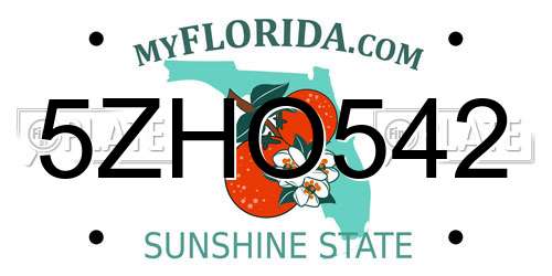 5ZHO542 Florida License Plate