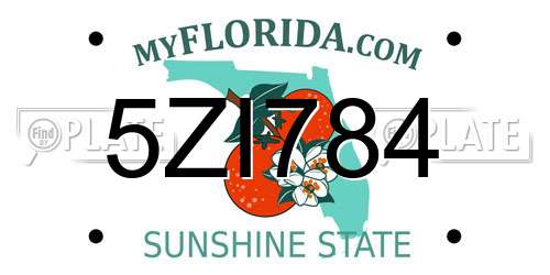 5ZI784 Florida License Plate