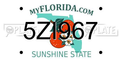 5ZI967 Florida License Plate