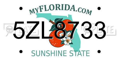 5ZL8733 Florida License Plate