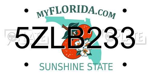 5ZLB233 Florida License Plate