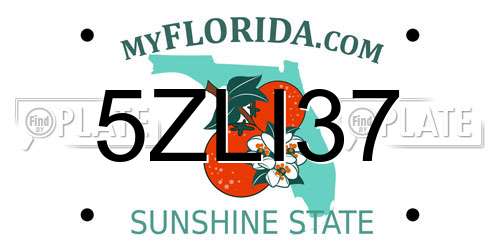 5ZLI37 Florida License Plate