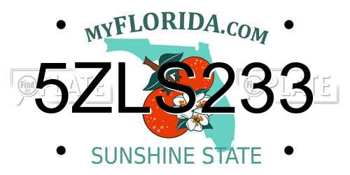 5ZLS233 Florida License Plate