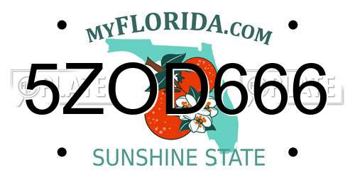5ZOD666 Florida License Plate