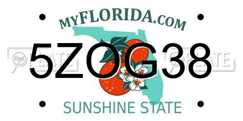 5ZOG38 Florida License Plate
