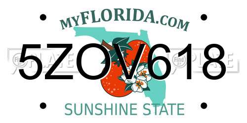 5ZOV618 Florida License Plate