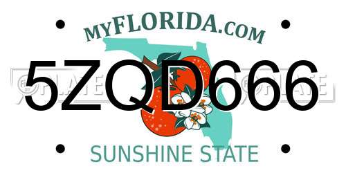5ZQD666 Florida License Plate