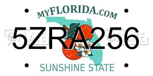5ZRA256 Florida License Plate