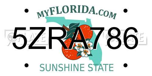 5ZRA786 Florida License Plate