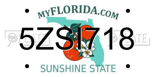 5ZSI718 Florida License Plate