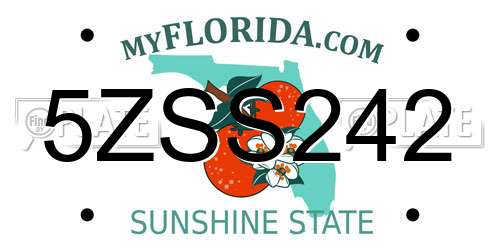5ZSS242 Florida License Plate
