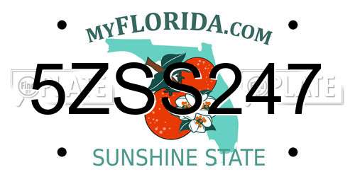 5ZSS247 Florida License Plate
