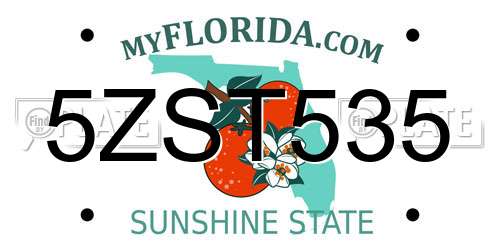 5ZST535 Florida License Plate