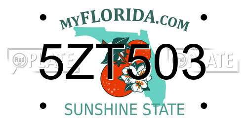 5ZT503 Florida License Plate