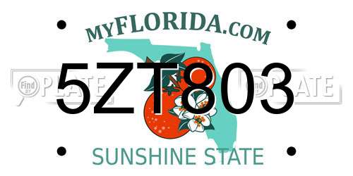 5ZT803 Florida License Plate