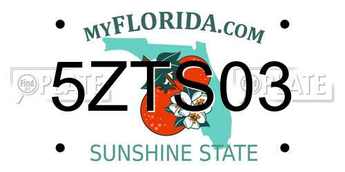 5ZTS03 Florida License Plate