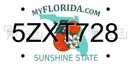 5ZXT728 Florida License Plate