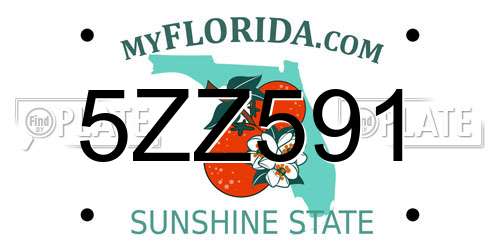 5ZZ591 Florida License Plate