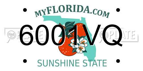 6001VQ Florida License Plate