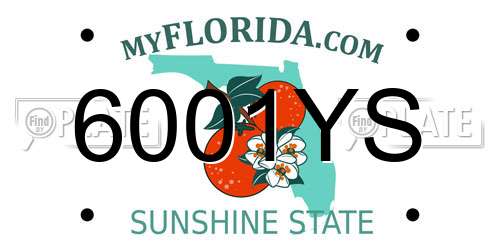 6001YS Florida License Plate
