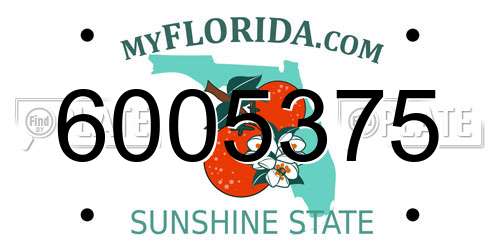 6005375 Florida License Plate