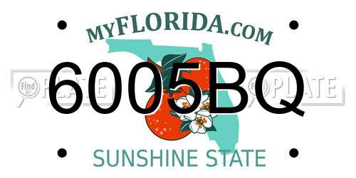 6005BQ Florida License Plate