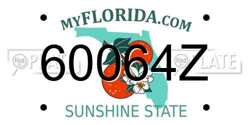 60064Z Florida License Plate