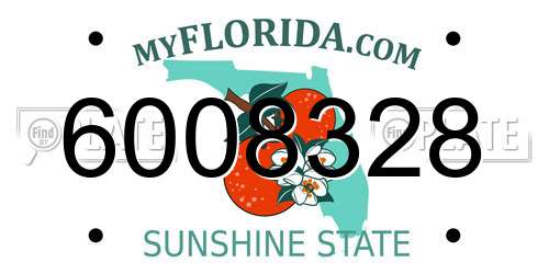 6008328 Florida License Plate