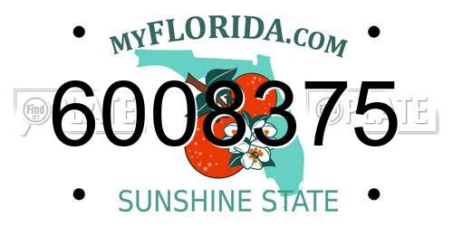 6008375 Florida License Plate