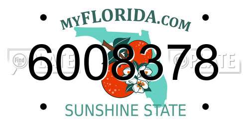 6008378 Florida License Plate