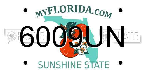 6009UN Florida License Plate