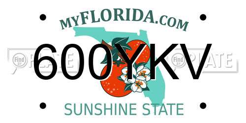 600YKV Florida License Plate