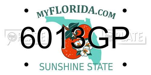6013GP Florida License Plate