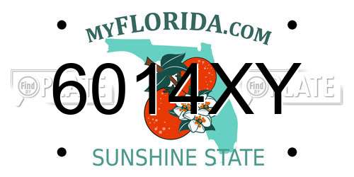6014XY Florida License Plate