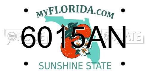 6015AN Florida License Plate