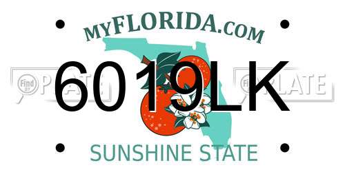 6019LK Florida License Plate