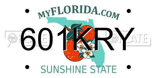 601KRY Florida License Plate