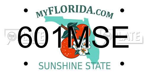 601MSE Florida License Plate