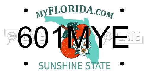 601MYE Florida License Plate
